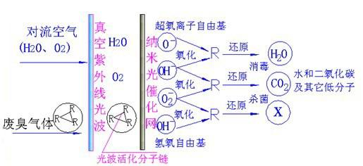 光催化氧化设备(图2)